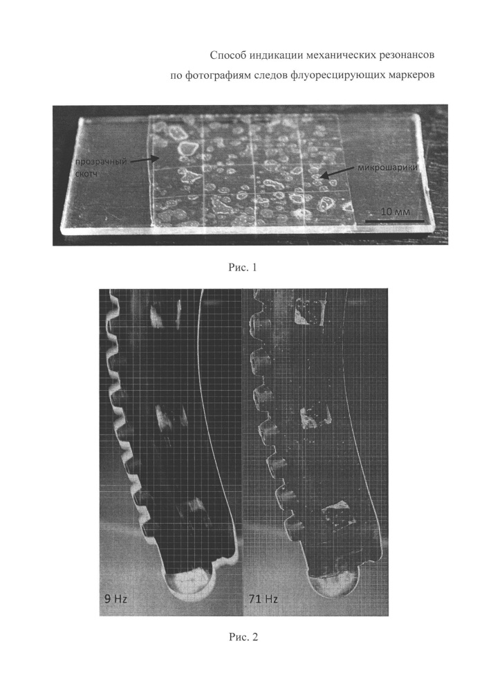 Способ индикации механических резонансов по фотографиям следов флуоресцирующих маркеров (патент 2666583)
