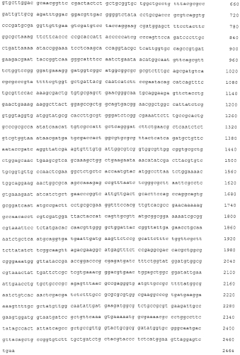 Модифицированный полипептид, обдадающий гомосеринацетилтрансферазной активностью, и экспрессирующий его микроорганизм (патент 2557411)