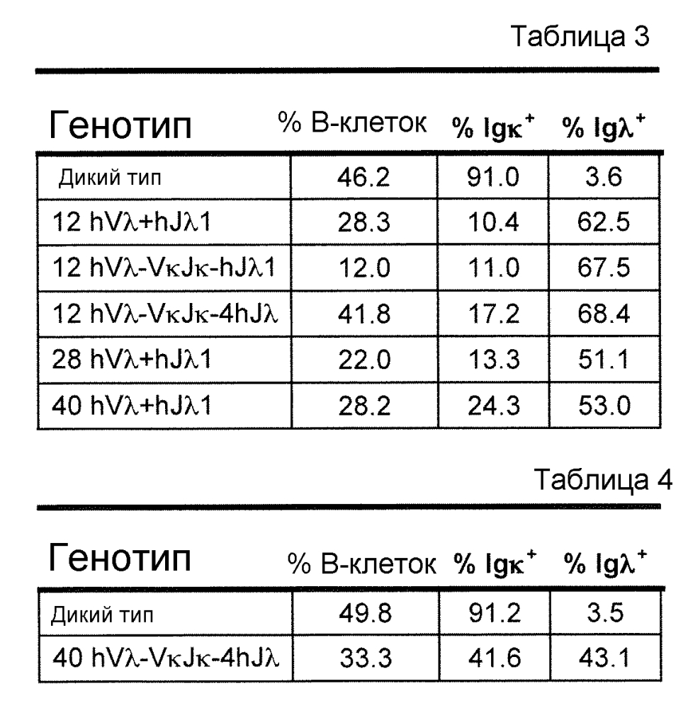 Мыши, экспрессирующие гибридную легкую цепь иммуноглобулина (патент 2601297)