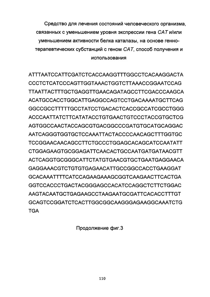 Средство для лечения состояний человеческого организма, связанных с уменьшением уровня экспрессии гена сат и/или уменьшением активности белка каталазы на основе генно-терапевтических субстанций с геном сат, способ получения и использования (патент 2649814)