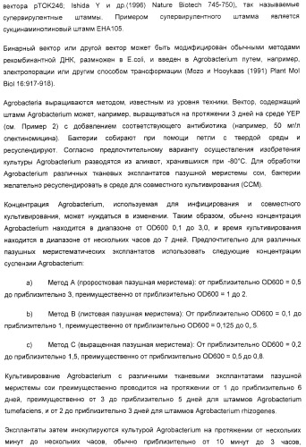 Улучшенная трансформация сои (патент 2389797)