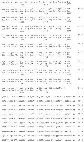 Пептидные вакцины против рака с экспрессией полипептидов mphosph1 или depdc1 (патент 2469044)