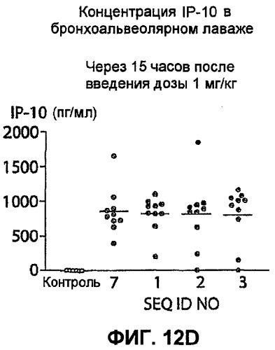 Полумягкие иммуностимулирующие олигонуклеотиды с-класса (патент 2393223)
