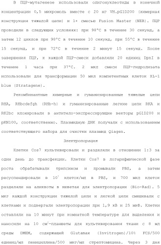 Антитела против вируса гепатита с (патент 2462475)