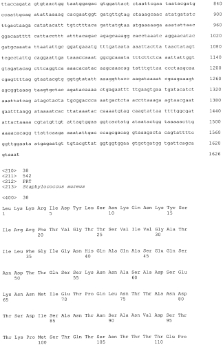 Стабильные иммуногенные композиции антигенов staphylococcus aureus (патент 2570730)