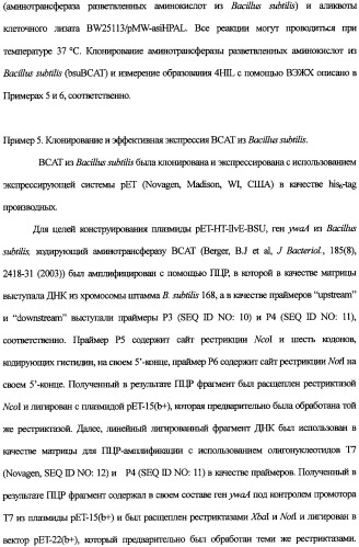 Новая альдолаза, днк, кодирующая альдолазу, клетки, трансформированные днк, способ получения альдолазы и способ получения 4-гидрокси-l-изолейцина (варианты) (патент 2338784)