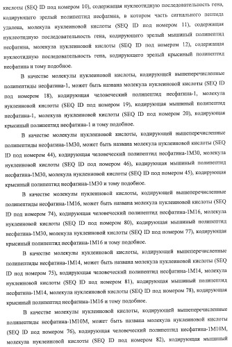 Способ получения фактора, связанного с контролем над потреблением пищи и/или массой тела, полипептид, обладающий активностью подавления потребления пищи и/или прибавления в весе, молекула нуклеиновой кислоты, кодирующая полипептид, способы и применение полипептида (патент 2418002)