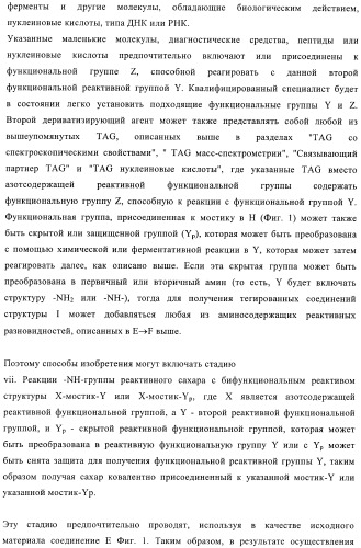 Твердофазное тегирование олигосахаридов: методика для манипуляции с иммобилизированными углеводами (патент 2398237)