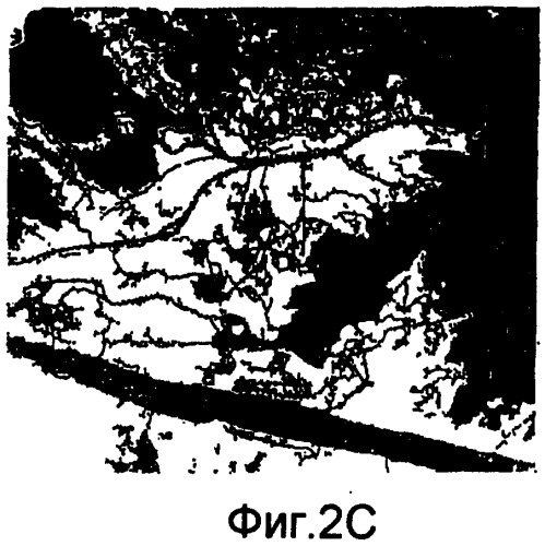 Основанные на применении компьютера формирование и проверка тренировочных образов, предназначенных для многоточечного геостатистического анализа (патент 2391686)