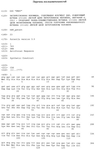 Плазмида для экспрессии в клетках бактерии рода escherichia неактивного предшественника мутеина [c112s] легкой цепи энтерокиназы человека, бактерия, принадлежащая к роду escherichia, - продуцент предшественника рекомбинантного мутеина [c112s] легкой цепи энтерокиназы человека, предшественник рекомбинантного мутеина [c112s] легкой цепи энтерокиназы человека, способ получения рекомбинантного мутеина [c112s] легкой цепи энтерокиназы человека, рекомбинантный мутеин [c112s] легкой цепи энтерокиназы человека (патент 2495934)