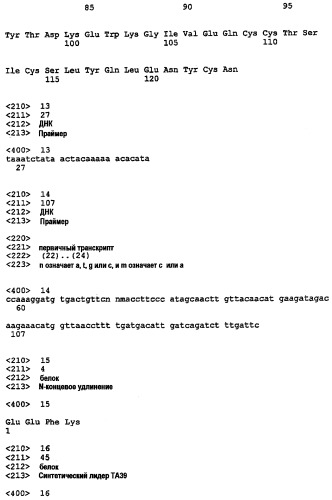 Предшественник инсулина, способ его получения и применение (патент 2283846)