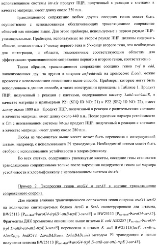 Способ конструирования оперонов, содержащих трансляционно сопряженные гены (патент 2411292)