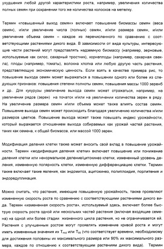 Способ повышения выхода семян растения, способ производства трансгенного растения, имеющего повышенную урожайность семян, генная конструкция для экспрессии в растении и трансгенное растение (патент 2409938)