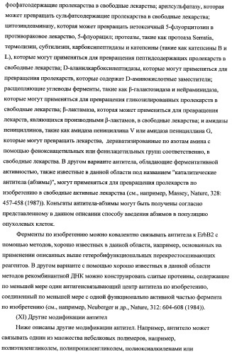 Способ лечения рака у человека (варианты), применяемая в способе форма (варианты) и применение антитела (варианты) (патент 2430739)