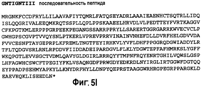 Способ синтеза белка с модифицированным профилем n-гликозилирования в растениях (патент 2499053)