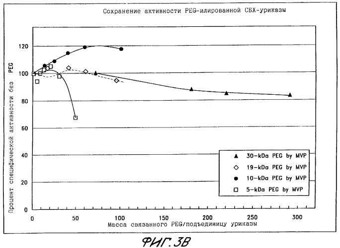 Конъюгаты peg-уратоксидазы, их использование, способ изолирования тетрамерной формы уриказы (патент 2349341)