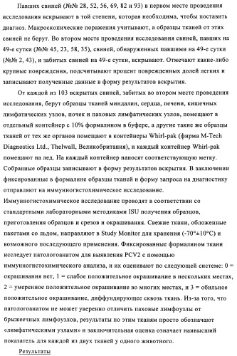 Поливалентные иммуногенные композиции pcv2 и способы получения таких композиций (патент 2488407)