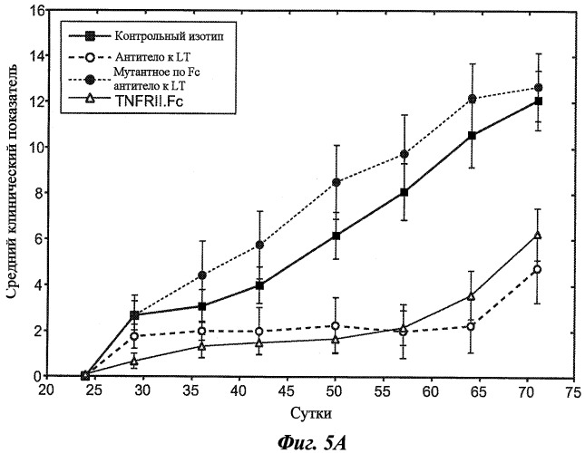 Антитела к лимфотоксину-альфа (патент 2486201)