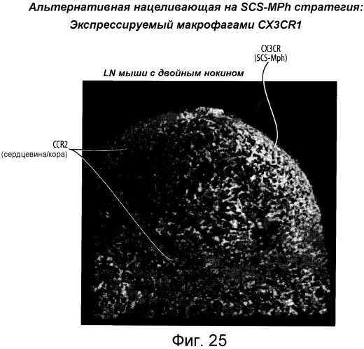 Никотиновые иммунонанотерапевтические лекарственные средства (патент 2487712)