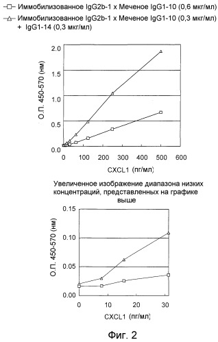 Способ иммунологического анализа белка cxcl1 человека (патент 2521669)