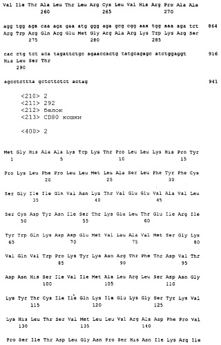 Нуклеиновые кислоты, кодирующие рецептор ctla-4 кошки, вектор, клетки-хозяева, вакцины, олигонуклеотиды, полипептиды ctla-4 кошки и способы индукции и подавления иммунного ответа у кошки (патент 2377302)