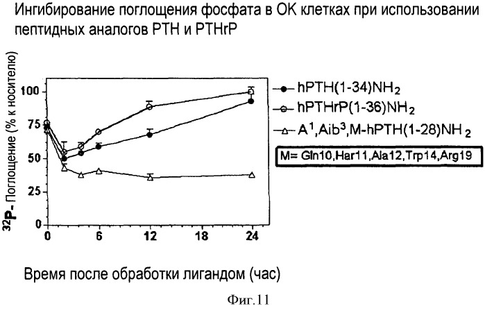 Способы скрининга с применением g-белок сопряженных рецепторов и родственных композиций (патент 2506274)