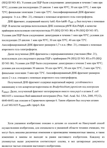 Бактерия семейства enterobacteriaceae - продуцент l-аспарагиновой кислоты или метаболитов, производных l-аспарагиновой кислоты, и способ получения l-аспарагиновой кислоты или метаблитов, производных l-аспарагиновой кислоты (патент 2472853)