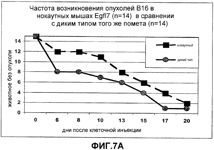 Композиции и способы для регуляции развития сосудов (патент 2365382)