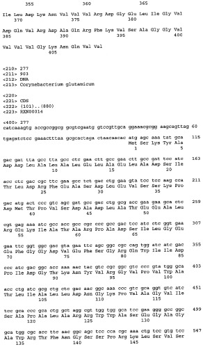 Гены corynebacterium glutamicum, кодирующие белки, участвующие в метаболизме углерода и продуцировании энергии (патент 2321634)