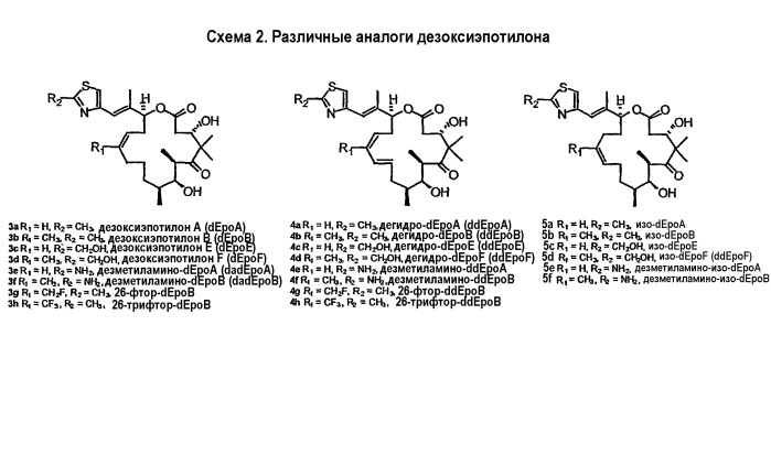 Синтез эпотилонов, их промежуточных продуктов, аналогов и их применения (патент 2462463)