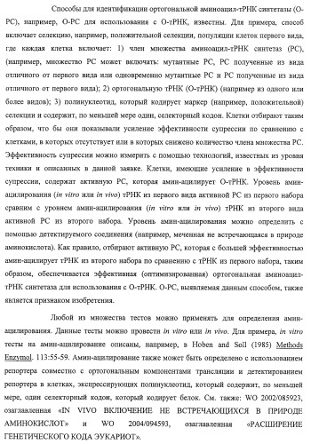 Система экспрессии компонентов ортогональной трансляции в эубактериальной клетке-хозяине (патент 2467069)