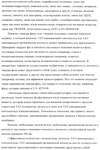 Композиции и способы диагностики и лечения опухоли (патент 2423382)