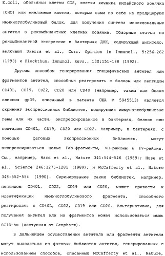 Лечение в-клеточных злокачественных опухолей с использованием комбинации применений, связанных с антителами, уменьшающими количество b-клеток, и с иммуномодулирующими антителами (патент 2306952)