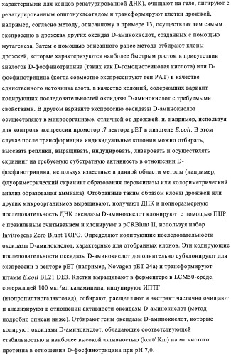 Способ избирательного получения растений с мужской или женской стерильностью (патент 2320722)