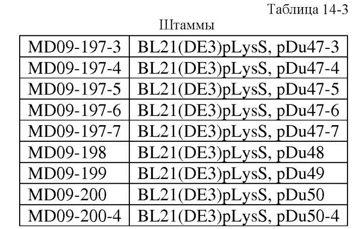 Варианты изопренсинтазы, применяемые для улучшения продуцирования изопрена микроорганизмами (патент 2516343)