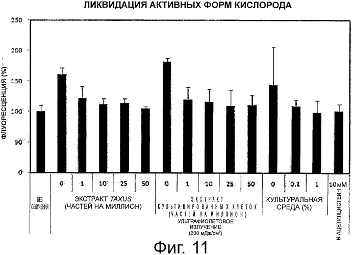 Косметическая композиция, содержащая культивированные клетки из камбия или прокамбия тисса(taxus) (патент 2520606)