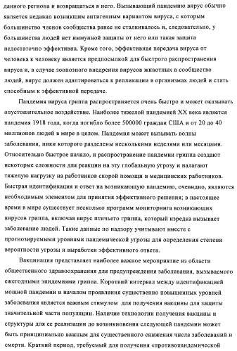 Способы и композиции для экспрессии антисмысловой вирусной рнк в клетках собаки (патент 2457250)