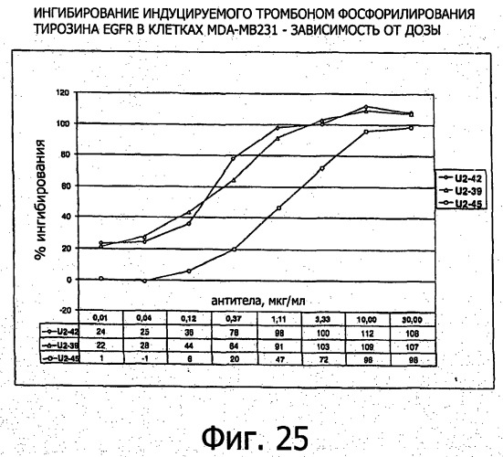 Белки, связывающие антиген фактор роста, подобный гепаринсвязывающему эпидермальному фактору роста (патент 2504551)