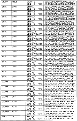 Новые структуры малых интерферирующих рнк (sirna) (патент 2487716)