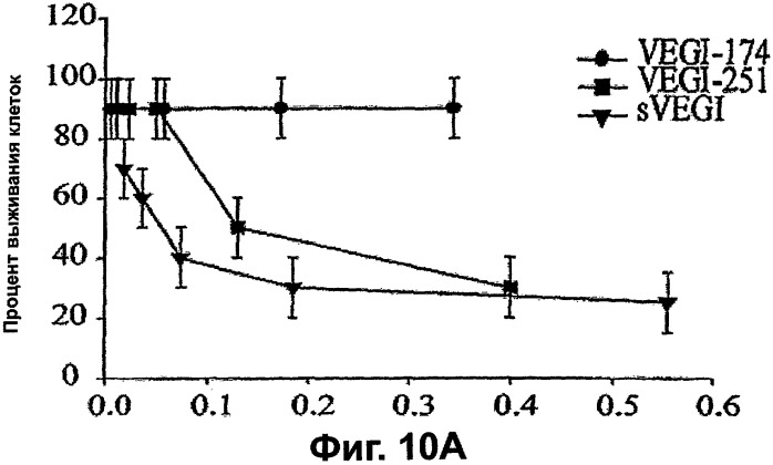 Новые изоформы ингибитора роста васкулярных эндотелиальных клеток (патент 2316591)