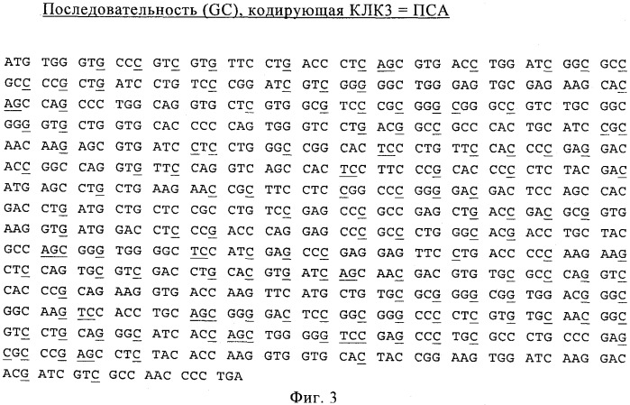 Композиция для лечения рака предстательной железы (рпж) (патент 2508125)