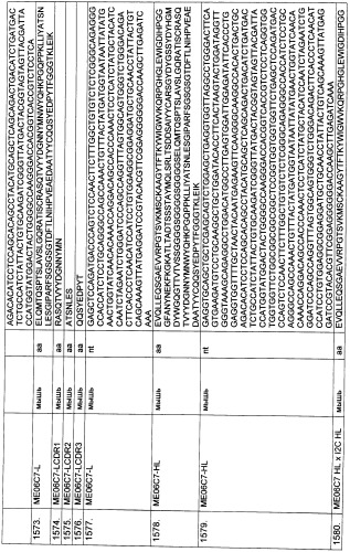 Pscaxcd3, cd19xcd3, c-metxcd3, эндосиалинxcd3, epcamxcd3, igf-1rxcd3 или fap-альфаxcd3 биспецифическое одноцепочечное антитело с межвидовой специфичностью (патент 2547600)