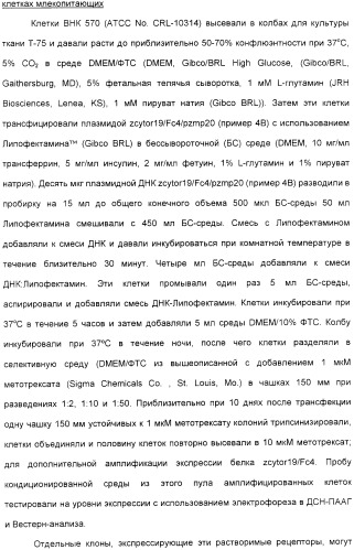 Выделенный полипептид, обладающий антивирусной активностью (варианты), кодирующий его полинуклеотид (варианты), экспрессирующий вектор, рекомбинантная клетка-хозяин, способ получения полипептида, антитело, специфичное к полипептиду, и фармацевтическая композиция, содержащая полипептид (патент 2321594)