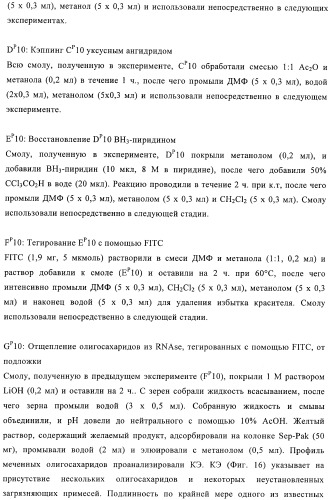 Твердофазное тегирование олигосахаридов: методика для манипуляции с иммобилизированными углеводами (патент 2398237)