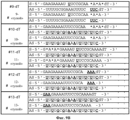 Новые структуры малых интерферирующих рнк (sirna) (патент 2487716)