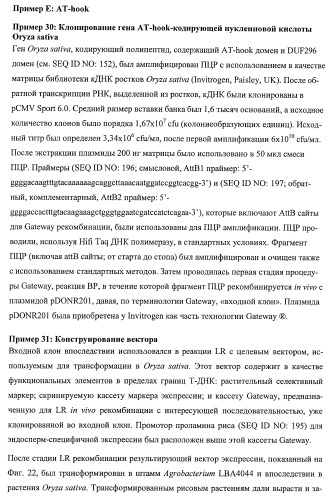 Растения, имеющие улучшенные характеристики роста, и способы их получения (патент 2463352)