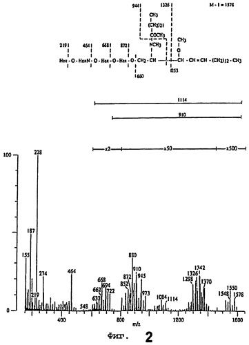 Новые вещества, связывающиеся с helicobacter pylori, и их применение (патент 2283115)