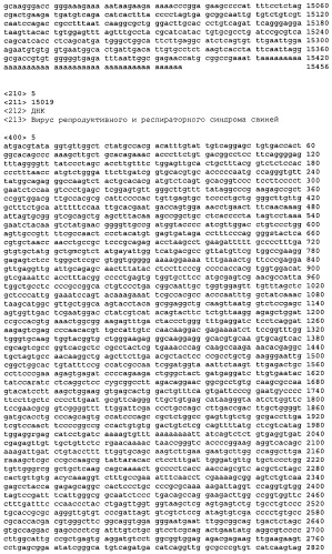 Вирусы prrs, их инфекционные клоны, мутантные формы и способы применения (патент 2427646)