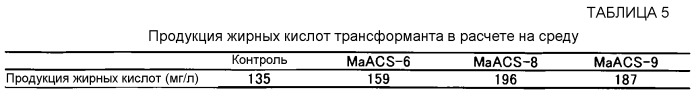 Полинуклеотид, кодирующий гомолог ацил-соа-синтетазы, и его применение (патент 2528248)