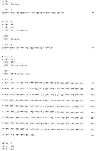 Вектор экспрессии млекопитающих (патент 2494147)